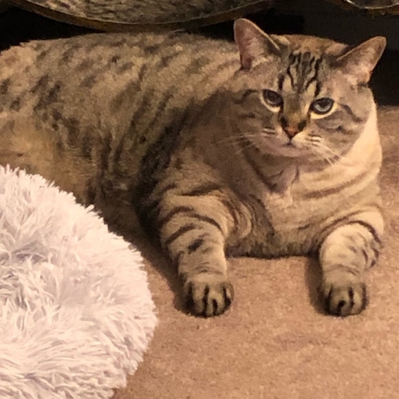 Meet your Posher, ShannieG - Picture 1 of 1